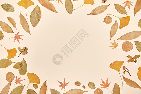 秋季落叶留白背景图片