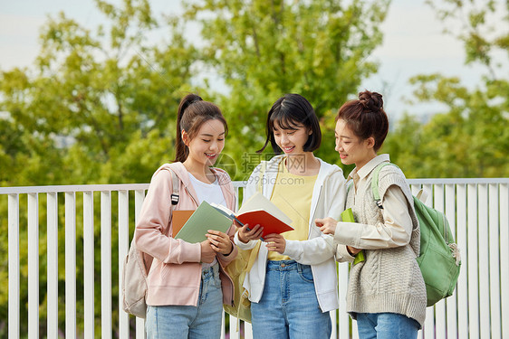 校园户外看书聊天的女大学生图片