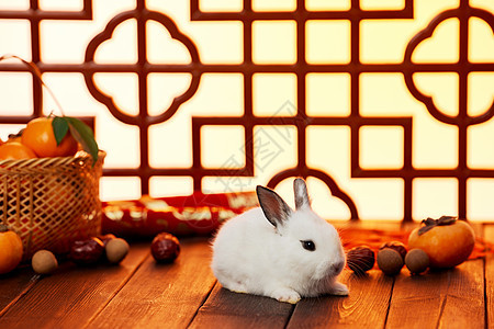 兔年喜庆新年静物装饰图片