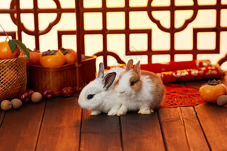 兔年喜庆氛围新年静物图片