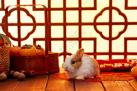 兔年氛围喜庆新年静物背景图片