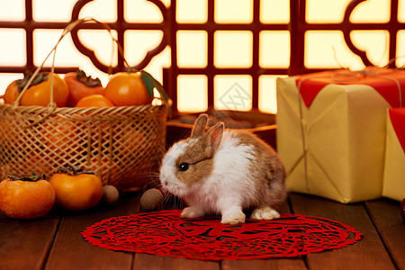 兔年喜庆新年静物背景图片