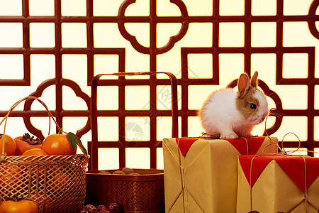新年兔年喜庆静物图片