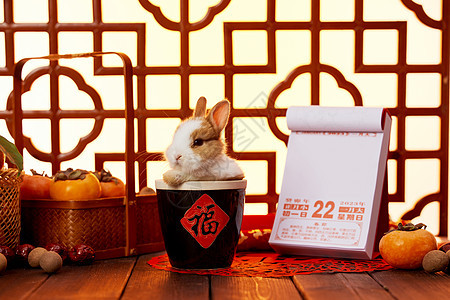 春节兔年台历喜庆静物背景图片