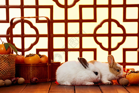 春节兔年喜庆静物背景图片
