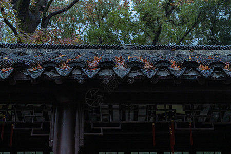 秋雨中的苏州天平山秋景图片