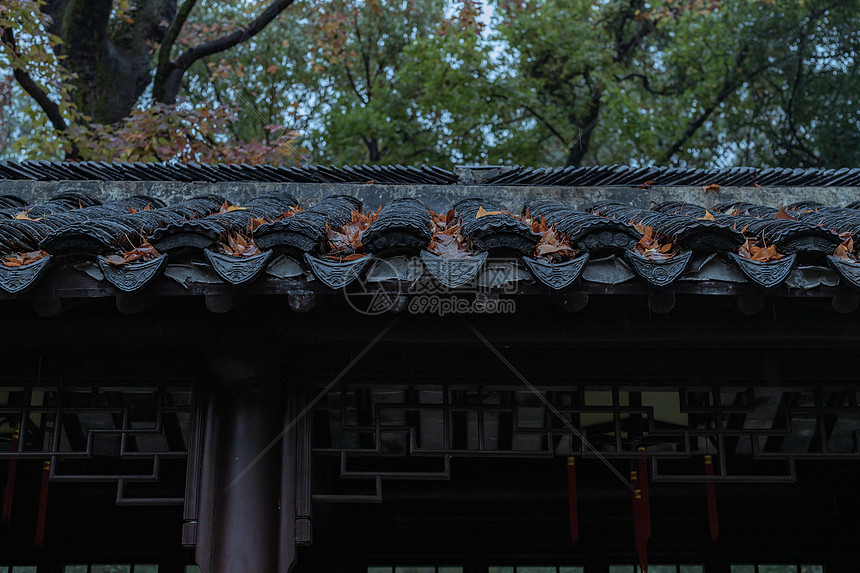 秋雨中的苏州天平山秋景图片