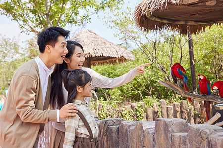 幸福一家人在动物园观赏鸟类背景图片