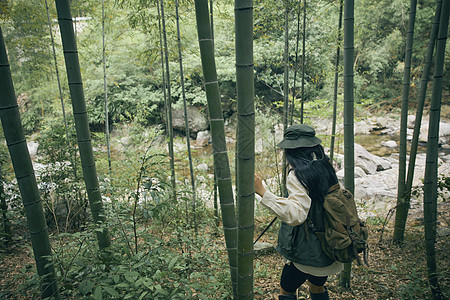 年轻女性竹林里徒步背影图片