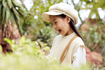 在植物园使用放大镜的小女孩图片