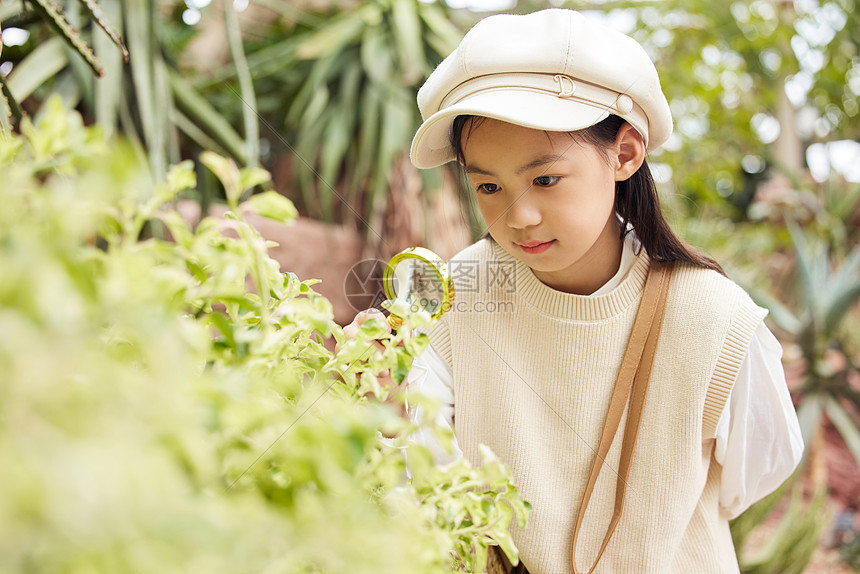 在植物园使用放大镜观察的小女孩图片