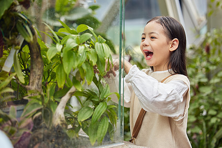 在植物园游玩的小女孩图片