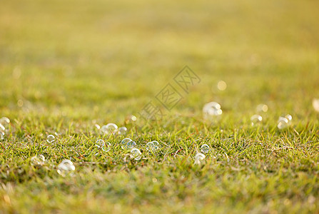 草地上的泡泡图片