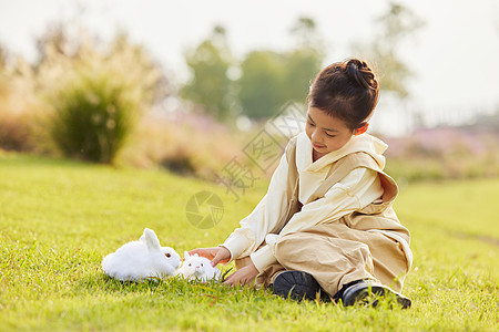 兔子在灌木丛在草地上和兔子玩耍的小女孩背景