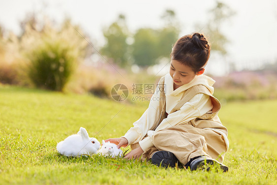 在草地上和兔子玩耍的小女孩图片