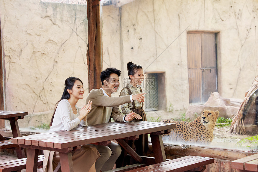 在动物园观赏猎豹的幸福家庭图片