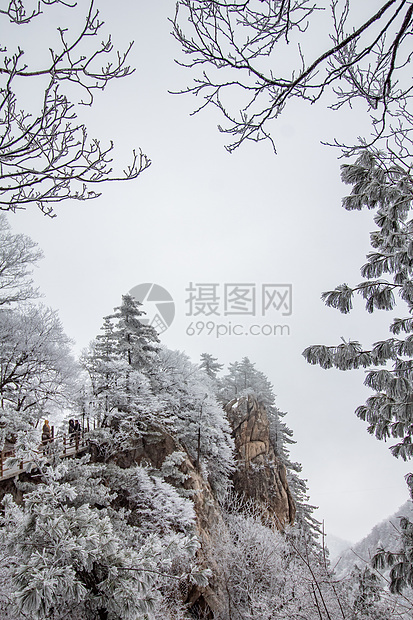 河南老君山银装素裹雪景图片