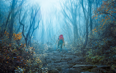 大雾中孤独的登山者背影图片