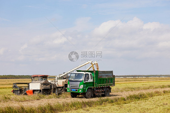 稻田收割机机器图片
