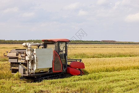 秋天稻田收割机机器背景图片