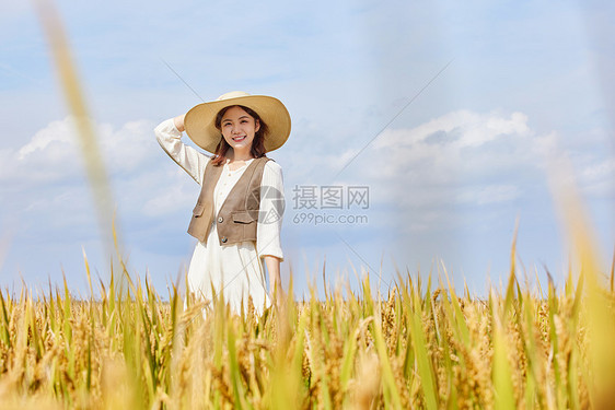 穿着连衣裙走在稻田里的美女形象图片