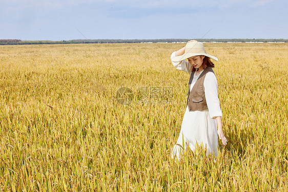 在稻田里玩耍的美女图片