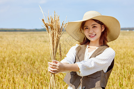 秋季稻田里手举水稻的美女图片