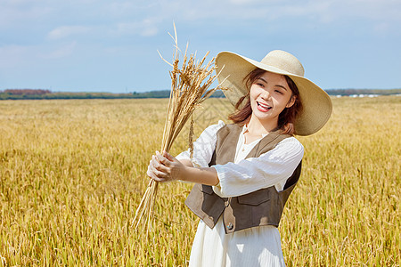 秋季稻田里手拿水稻的美女形象图片