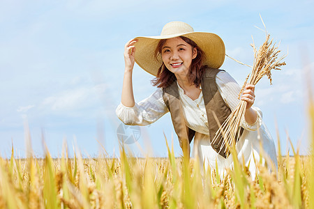 秋季稻田里手拿水稻的美女形象图片