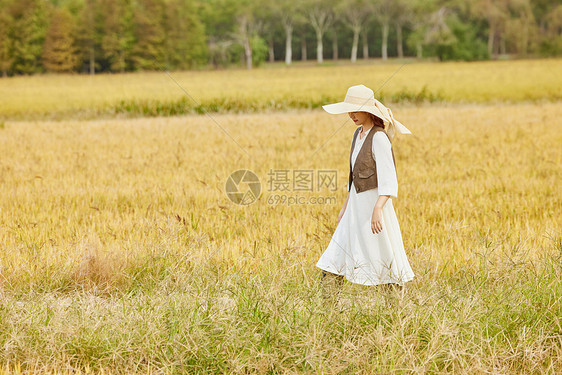 在稻田里玩耍的女性图片