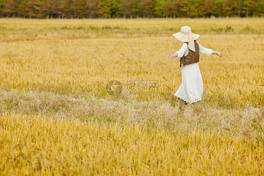在稻田散步的美女背影图片