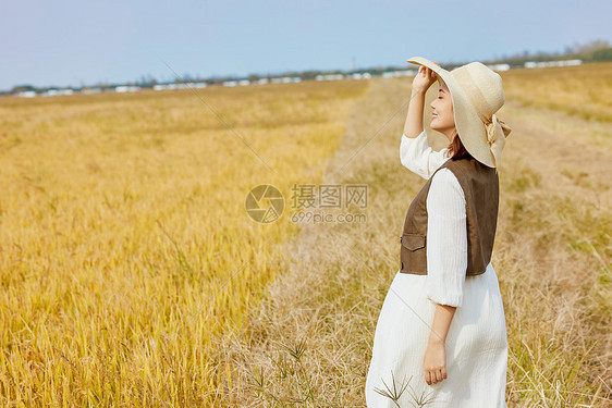 在稻田里散心的女性图片