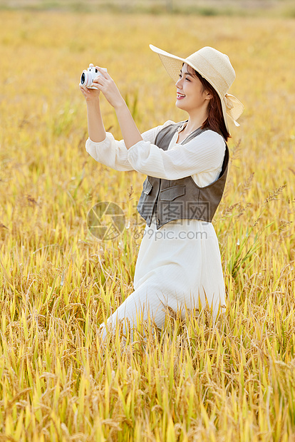 站在稻田里使用照相机拍照的美女图片