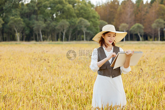 在稻田里画画写生的美女图片