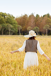 唯美背影秋季在稻田漫步的美女背影背景