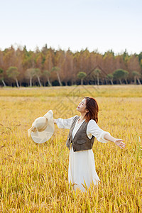 稻田里的美女张开双手享受自然图片