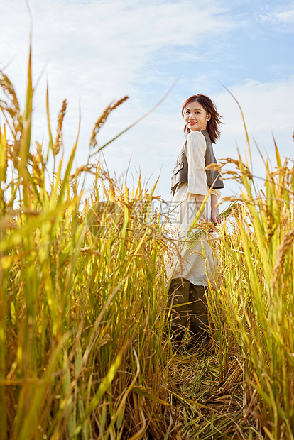 身穿连衣裙走在稻田里的美女图片