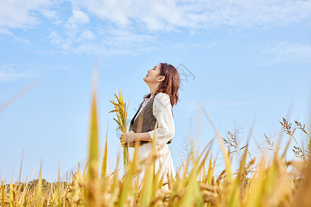 秋季稻田里手拿水稻的美女图片