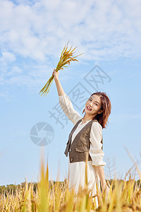 秋季稻田里手拿水稻的阳光美女图片