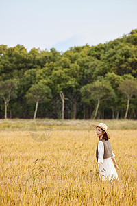 秋季在稻田散步休闲的美女图片