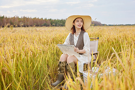 秋季在稻田里写生的美女高清图片