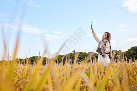 在稻田里享受自然的女性图片