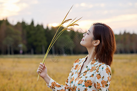 夕阳下稻田里的少女图片