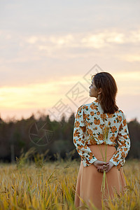 黄昏夕阳下稻田里的少女背景图片