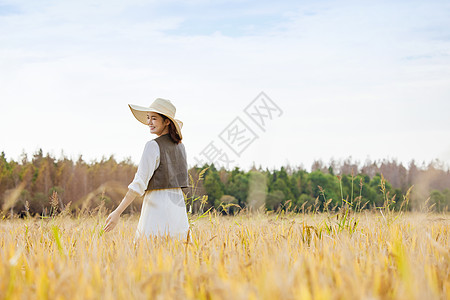 秋分秋季在稻田间散步的女性背景