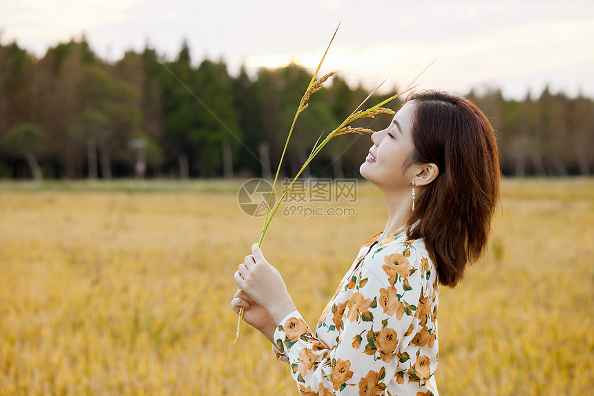 享受自然稻田风光的美女图片