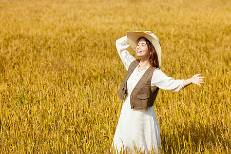 秋分【精】秋季在稻田散步休闲的青年女性背景