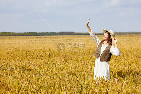 秋季在稻田散步的青年美女图片