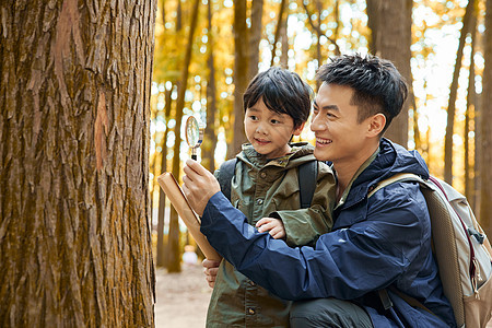 爸爸带儿子观察丛林里的树木图片