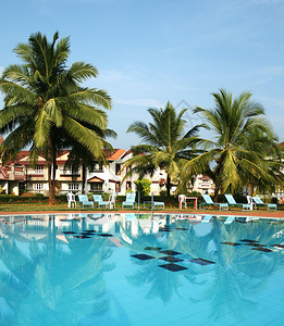 Pictire游泳池与大海和椰子树的图片